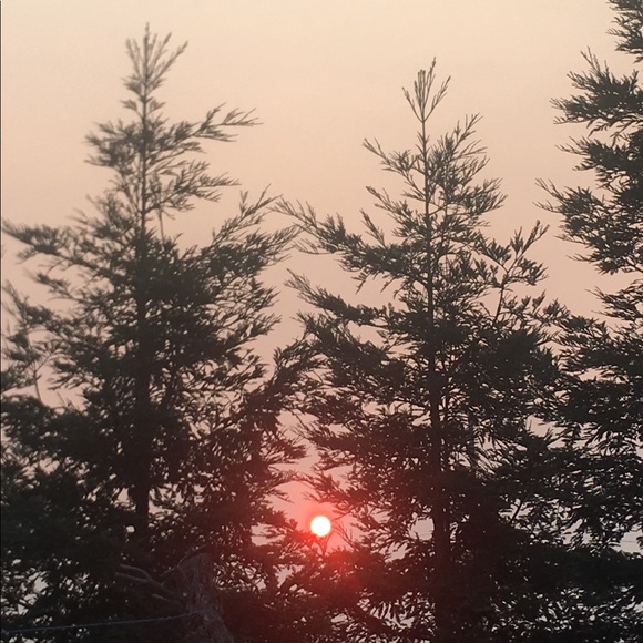 Meet your Posher, Andre - Picture 1 of 1